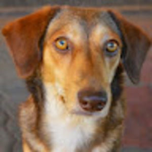 Meet your Posher, Angie